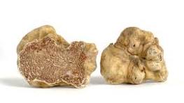 White Truffle - Lumi Creme